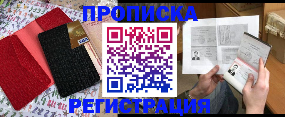прописка поиск в Камышлове
