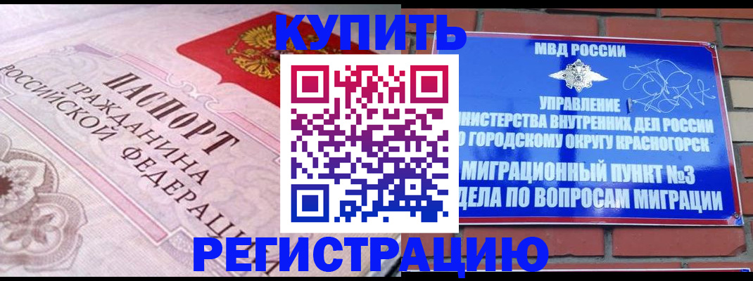 прописка в квартире в Камышлове